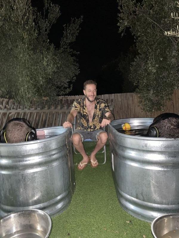 נועם רז בסדנה